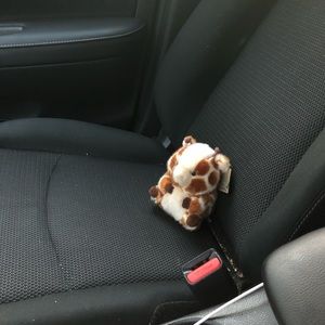 Meet your Posher, Jake